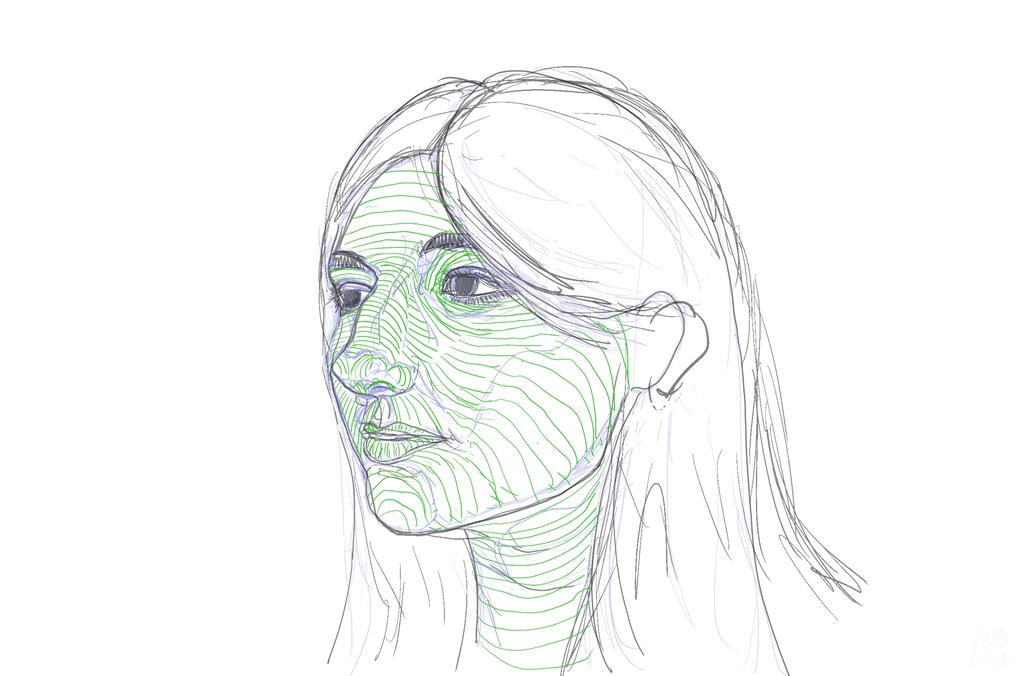 Stage 3 of the build-up of sketches of Aftyn Rose