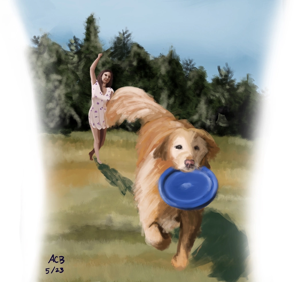 Detail panel 2: Lyra catches a frisbee Aftyn has thrown