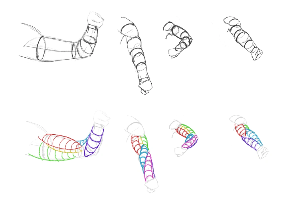 Sketches of arms built from cylinders and simplified muscle shapes