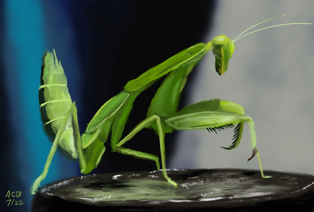 Painting of a praying mantis atop a black block